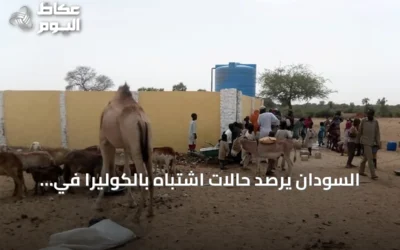 السودان يرصد حالات اشتباه بالكوليرا في أربع ولايات amid تفاقم الأزمة