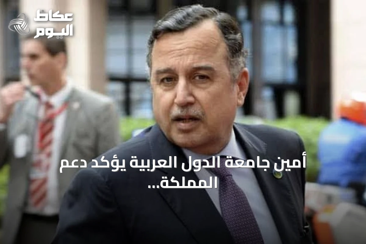 أمين جامعة الدول العربية يؤكد دعم المملكة أمام تهديدات الحوثي