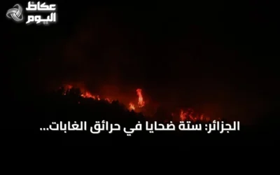 الجزائر: ستة ضحايا في حرائق الغابات المستمرة منذ أسبوعين