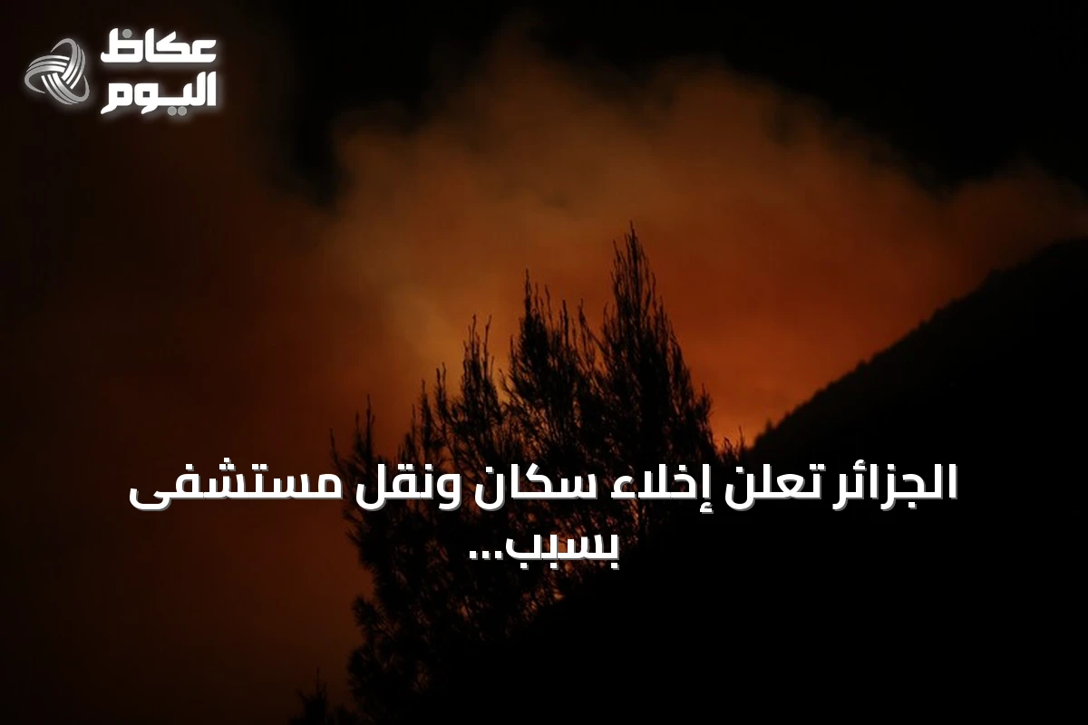الجزائر تعلن إخلاء سكان ونقل مستشفى بسبب حرائق غابات متصاعدة في عنابة