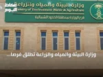 وزارة البيئة والمياه والزراعة تطلق فرصاً استثمارية جديدة لدعم الثروة الحيوانية