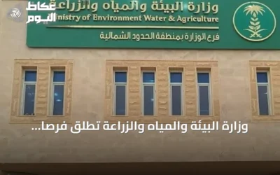 وزارة البيئة والمياه والزراعة تطلق فرصاً استثمارية جديدة لدعم الثروة الحيوانية