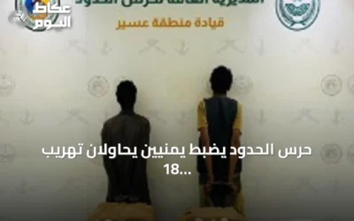 حرس الحدود يضبط يمنيين يحاولان تهريب 18 كيلوجرامًا من القات بمنطقة عسير