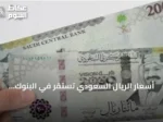 أسعار الريال السعودي تستقر في البنوك المصرية عند 13.57 جنيه للشراء