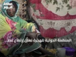 المنظمة الدولية للهجرة تُعلن ارتفاع عدد العائدين السودانيين إلى 4 ملايين و649 ألفاً و56 شخصاً