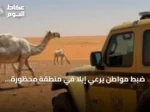 ضبط مواطن يرعي إبلًا في منطقة محظورة بمحمية الإمام تركي بن عبدالله الملكية