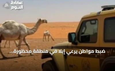 ضبط مواطن يرعي إبلًا في منطقة محظورة بمحمية الإمام تركي بن عبدالله الملكية
