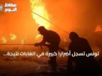 تونس تسجل أضراراً كبيرة في الغابات نتيجة الحرائق منذ مايو 2026