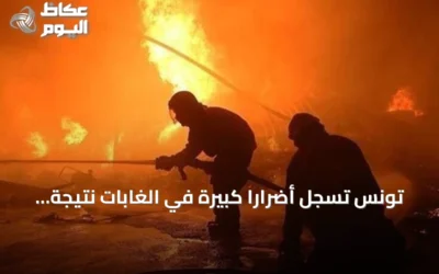 تونس تسجل أضراراً كبيرة في الغابات نتيجة الحرائق منذ مايو 2026
