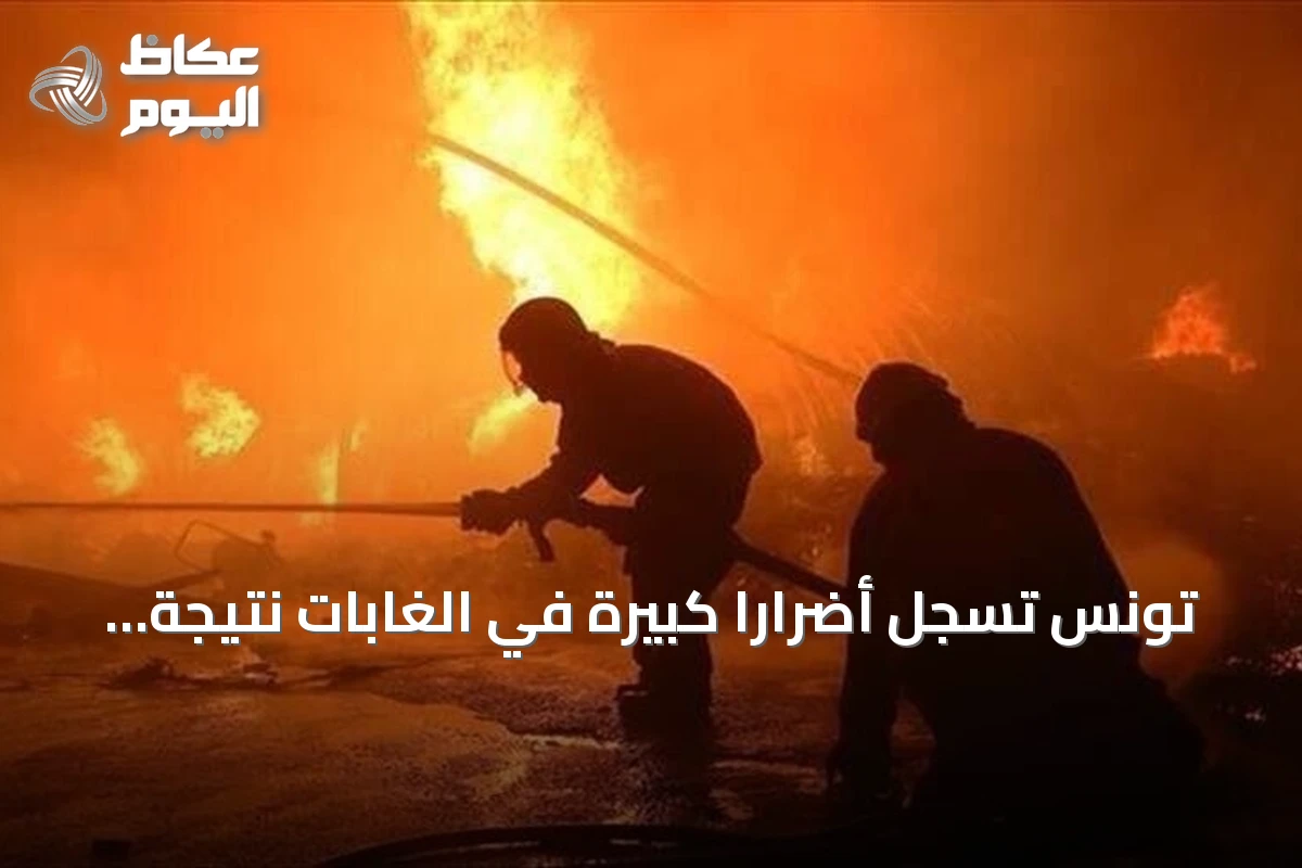 تونس تسجل أضراراً كبيرة في الغابات نتيجة الحرائق منذ مايو 2026