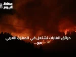 حرائق الغابات تشتعل في المغرب العربي مع موجة حر قياسية وخبراء يدعون لتدخلات عاجلة