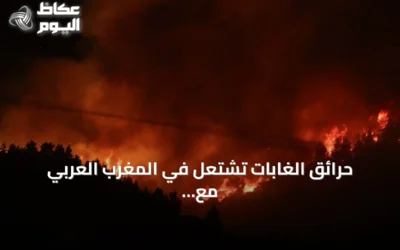 حرائق الغابات تشتعل في المغرب العربي مع موجة حر قياسية وخبراء يدعون لتدخلات عاجلة