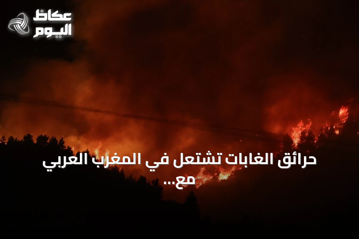 حرائق الغابات تشتعل في المغرب العربي مع موجة حر قياسية وخبراء يدعون لتدخلات عاجلة