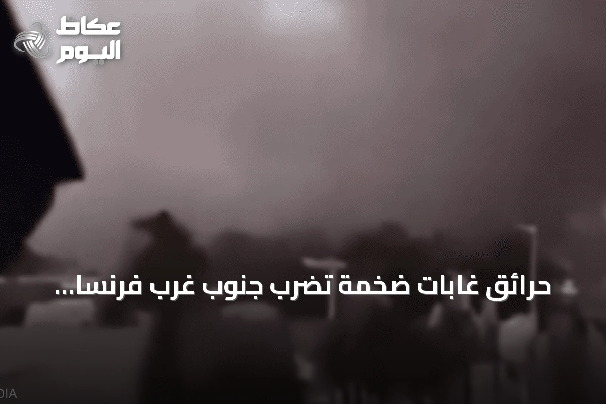 حرائق غابات ضخمة تضرب جنوب غرب فرنسا وتؤدي لإجلاء السكان وإطلاق الخيول