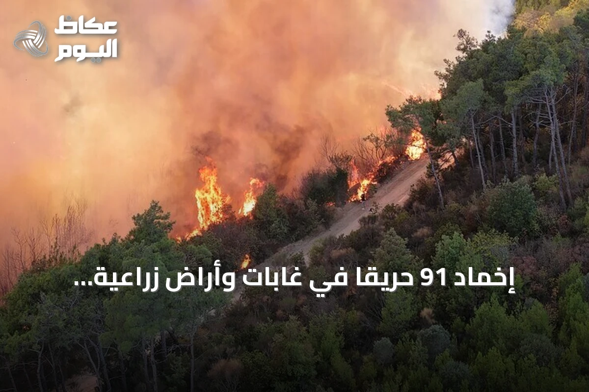 إخماد 91 حريقاً في غابات وأراض زراعية بالجزائر خلال 24 ساعة