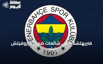 فنربهتشه ينفي شائعات ضم ديميروفيتش ولياو ويؤكد تركيزه على دوري الأبطال