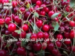 صادرات تركيا من الكرز تتجاوز 100 مليون دولار في النصف الأول من 2026