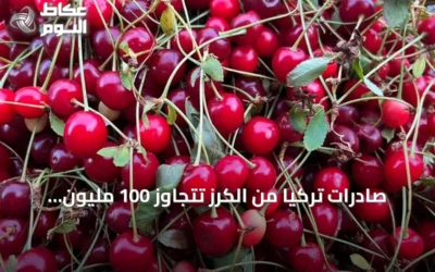 صادرات تركيا من الكرز تتجاوز 100 مليون دولار في النصف الأول من 2026