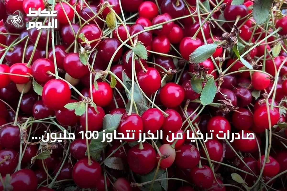 صادرات تركيا من الكرز تتجاوز 100 مليون دولار في النصف الأول من 2026