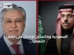 السعودية وباكستان تؤكدان على خفض التصعيد وضمان أمن الممرات المائية