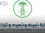 وزارة البيئة تحذر من مخاطر الحر على الحيوانات وتوجه بإجراءات وقائية