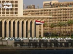 مصر تدين استهداف سفينة سعودية وتدعو لحماية حرية الملاحة في البحر الأحمر