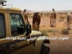 القوات الخاصة للأمن البيئي تضبط مواطنًا رعى ستة متون من الإبل في محمية الملك عبدالعزيز