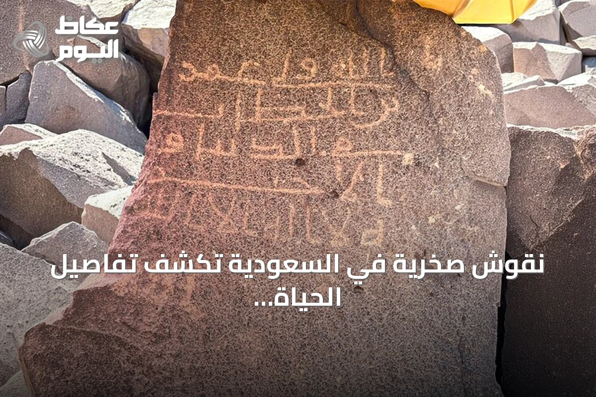 نقوش صخرية في السعودية تكشف تفاصيل الحياة في المجتمع الإسلامي المبكر