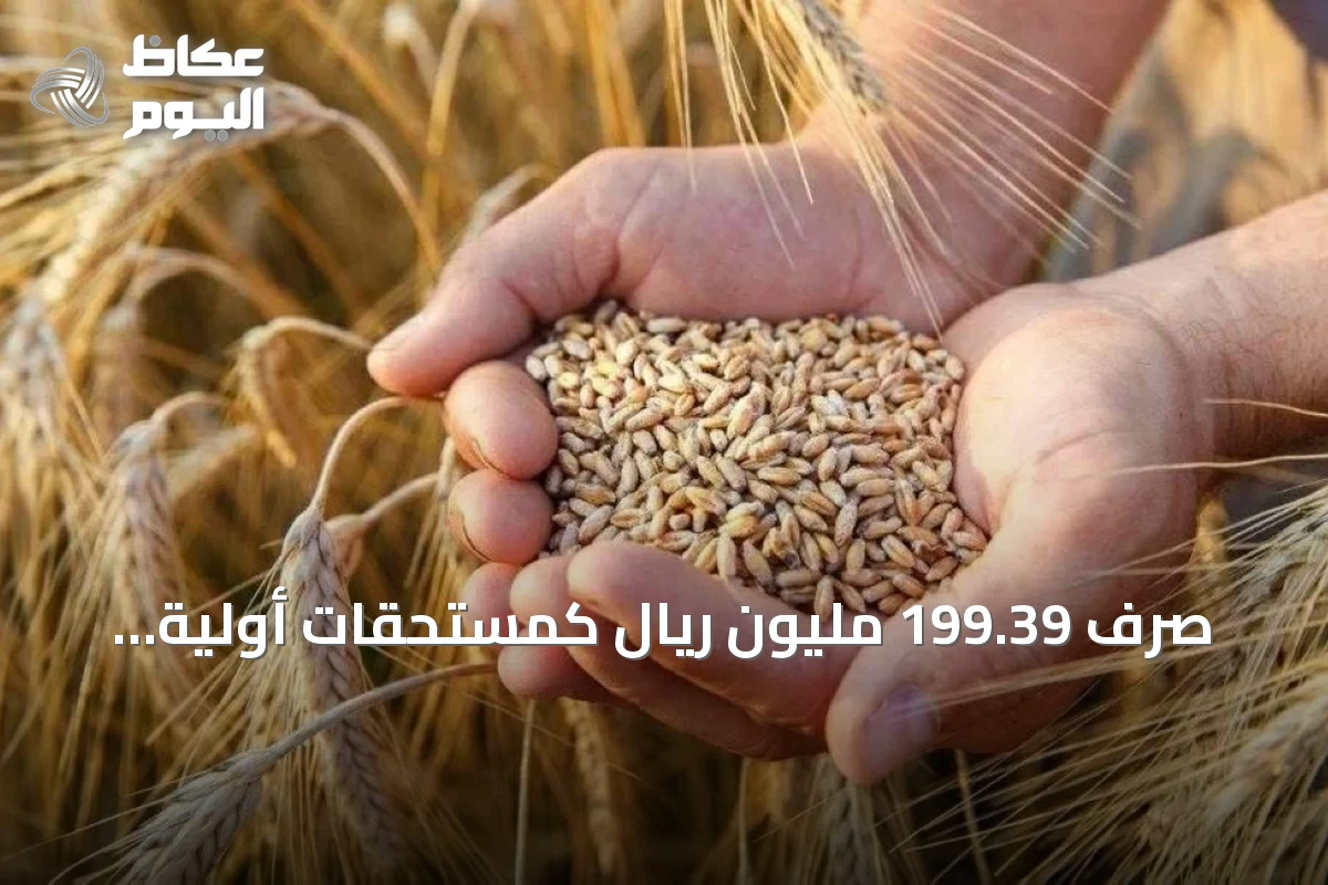 صرف 199.39 مليون ريال كمستحقات أولية لمزارعي القمح المحلي لموسم 2026