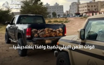 قوات الأمن البيئي تضبط وافدًا بنغلاديشيًا لنقل حطب محلي في عسير