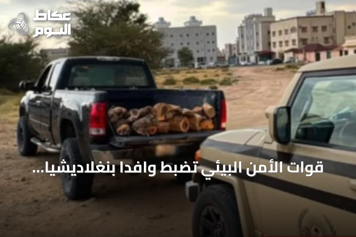 قوات الأمن البيئي تضبط وافدًا بنغلاديشيًا لنقل حطب محلي في عسير