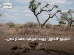 النينيو ‘الخارق’ يهدد أفريقيا بخسائر تصل إلى 20 مليار دولار وتمويل مطلوب بقيمة 100 مليار
