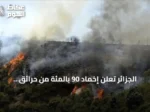 الجزائر تعلن إخماد 90 بالمئة من حرائق الغابات مع انخفاض ملحوظ في الحرارة