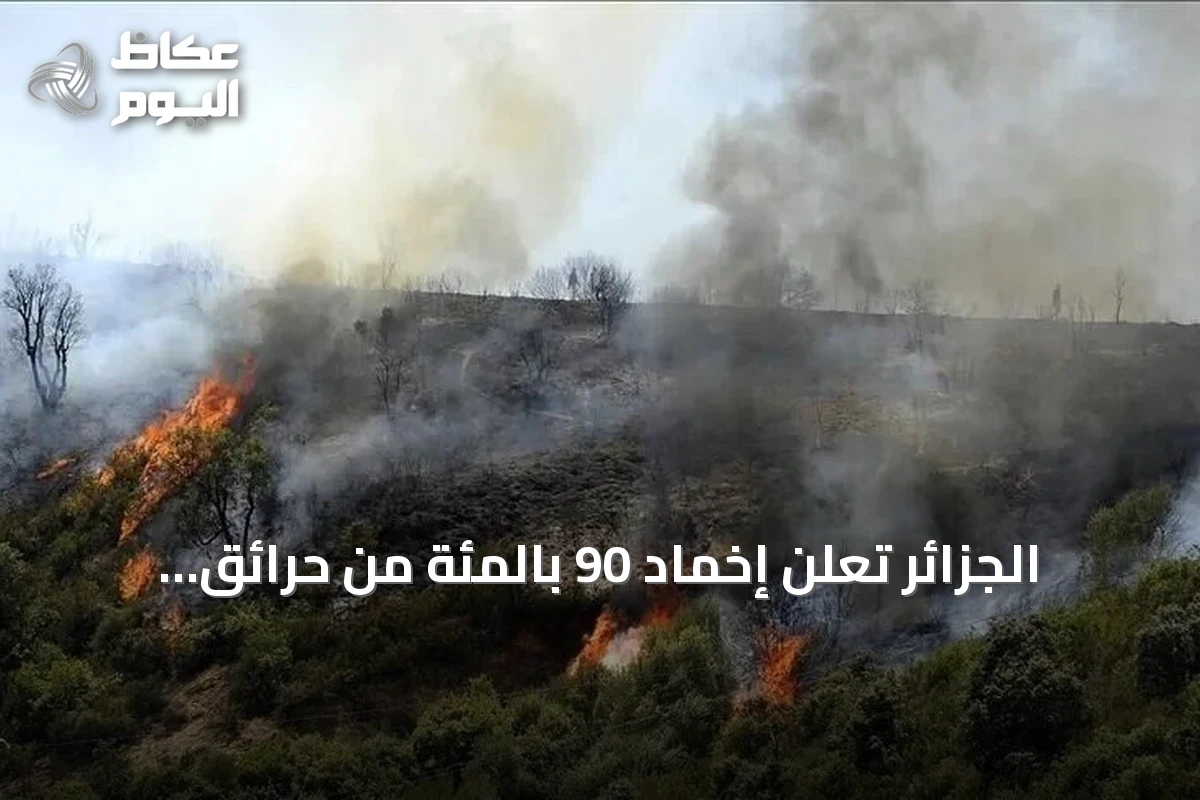 الجزائر تعلن إخماد 90 بالمئة من حرائق الغابات مع انخفاض ملحوظ في الحرارة