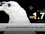 مبيعات مزاد الصقور في الرياض ترتفع 23% وتجذب مشاركة دولية واسعة