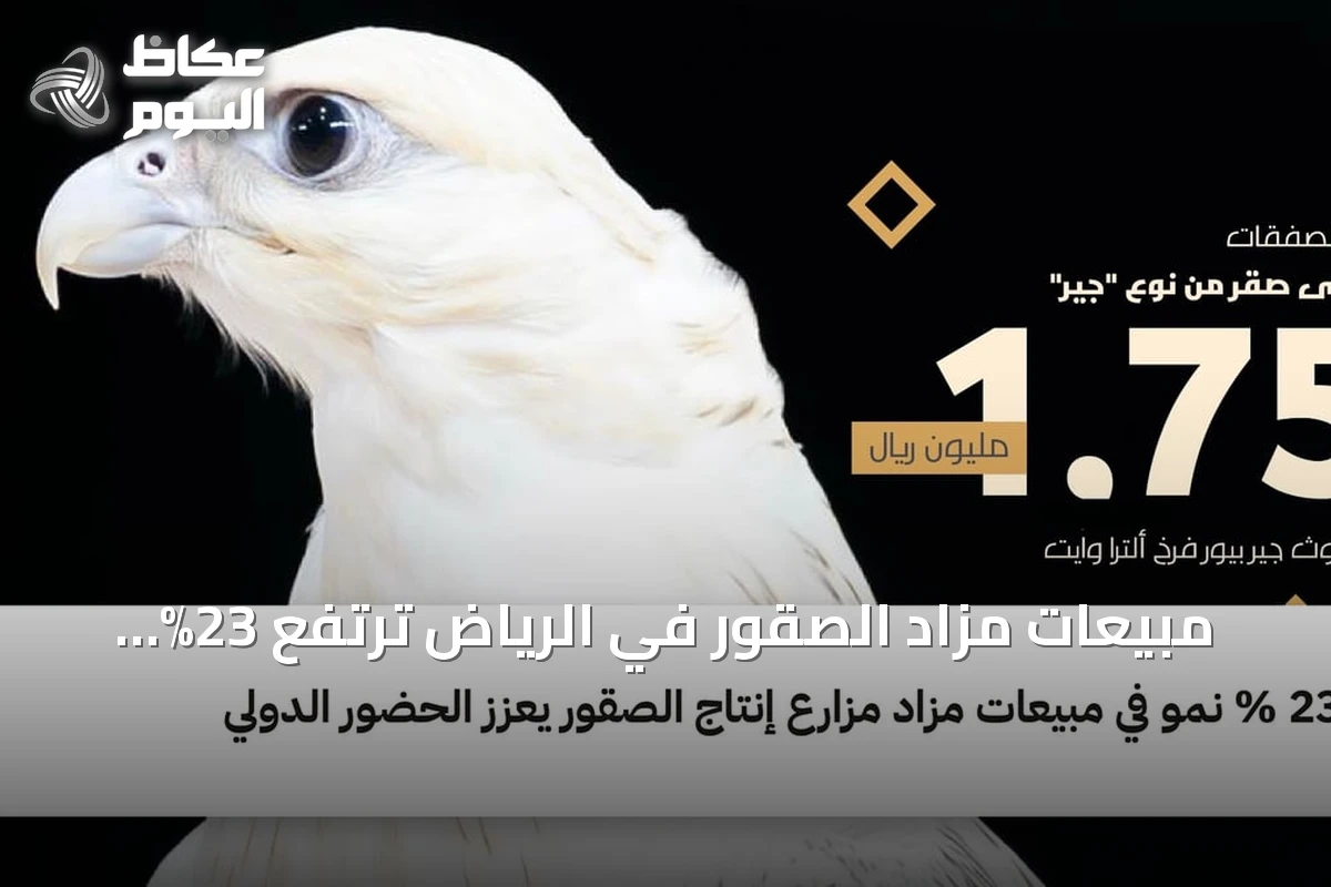 مبيعات مزاد الصقور في الرياض ترتفع 23% وتجذب مشاركة دولية واسعة