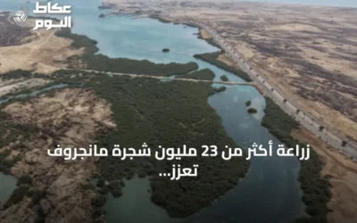 زراعة أكثر من 23 مليون شجرة مانجروف تعزز استدامة السواحل في جازان