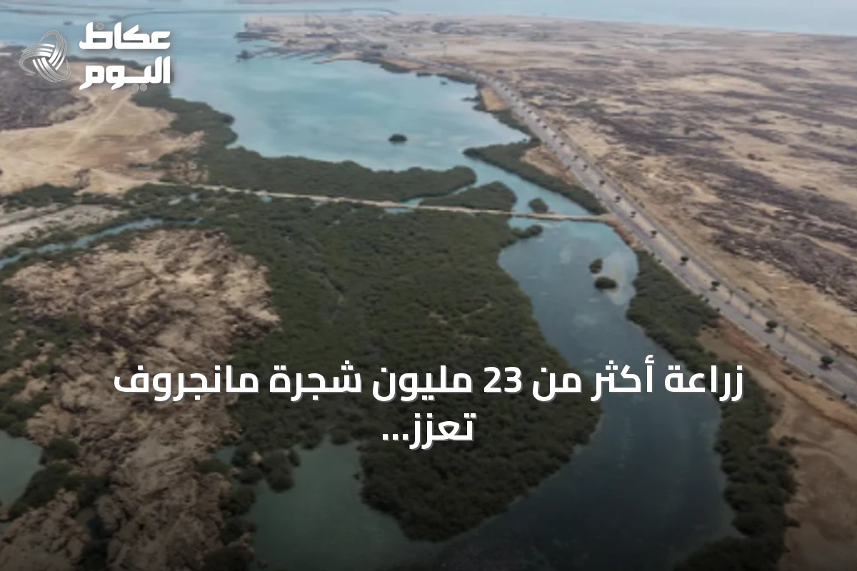 زراعة أكثر من 23 مليون شجرة مانجروف تعزز استدامة السواحل في جازان