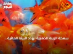 سمكة الزينة الذهبية تهدد البيئة المائية الكندية.. حملة توعية واسعة في ألبرتا