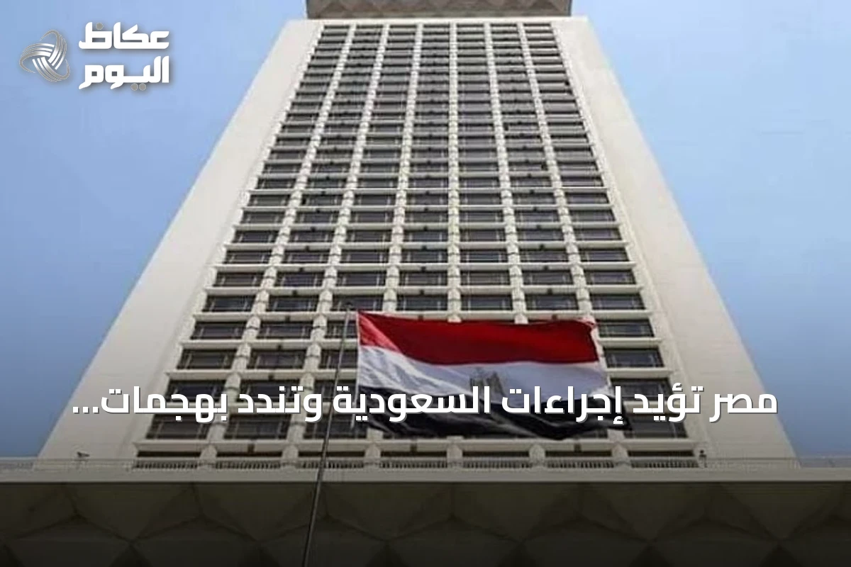 مصر تؤيد إجراءات السعودية وتندد بهجمات الطائرات المسيّرة القادمة من العراق