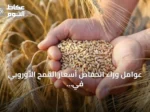 عوامل وراء انخفاض أسعار القمح الأوروبي في التعاملات اليومية