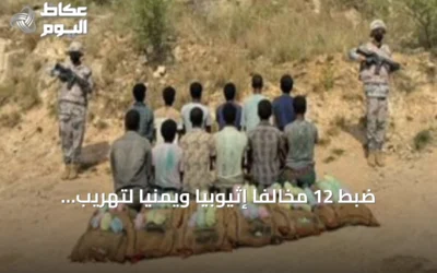 ضبط 12 مخالفاً إثيوبياً ويمنياً لتهريب 168 كجم من القات بجازان