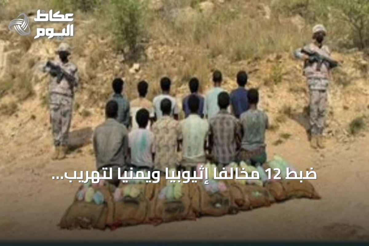 ضبط 12 مخالفاً إثيوبياً ويمنياً لتهريب 168 كجم من القات بجازان