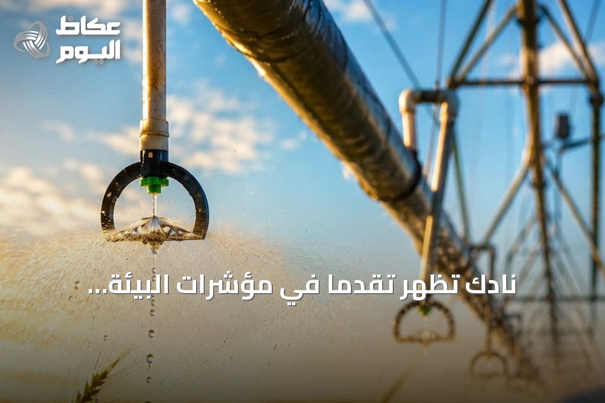نادك تُظهر تقدمًا في مؤشرات البيئة والمسؤولية الاجتماعية والحوكمة لعام 2025