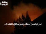 الجزائر تُعلن إخماد جميع حرائق الغابات وتواصل الاستعداد للتدخل الفوري
