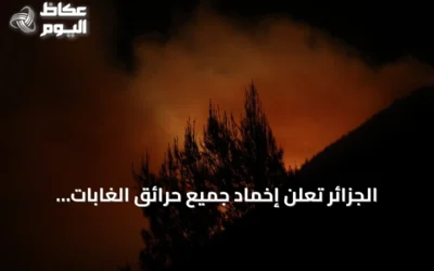 الجزائر تُعلن إخماد جميع حرائق الغابات وتواصل الاستعداد للتدخل الفوري
