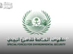 ضبط مواطن يرعى 52 متنًا من الإبل داخل منطقة محظورة بمحمية الإمام تركي بن Abdullah