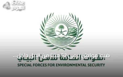 ضبط مواطن يرعى 52 متنًا من الإبل داخل منطقة محظورة بمحمية الإمام تركي بن Abdullah