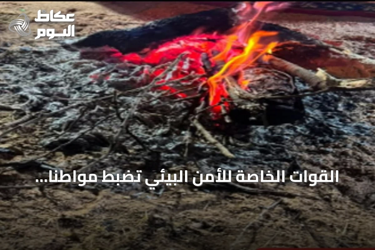 القوات الخاصة للأمن البيئي تضبط مواطنًا أشعل ناراً في موقع غير مخصص بعسير