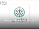 القوات السعودية تنفذ ضربات نوعية ضد ميليشيات إيرانية في العراق